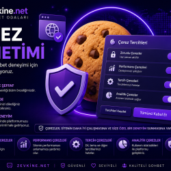 Çerez Politikası | Zevkine.Net