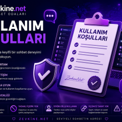 Kullanım Koşulları | Zevkine.Net
